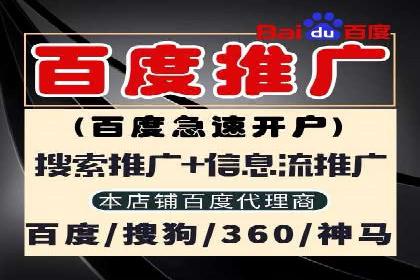 关键词竞价排名案例解析与启示